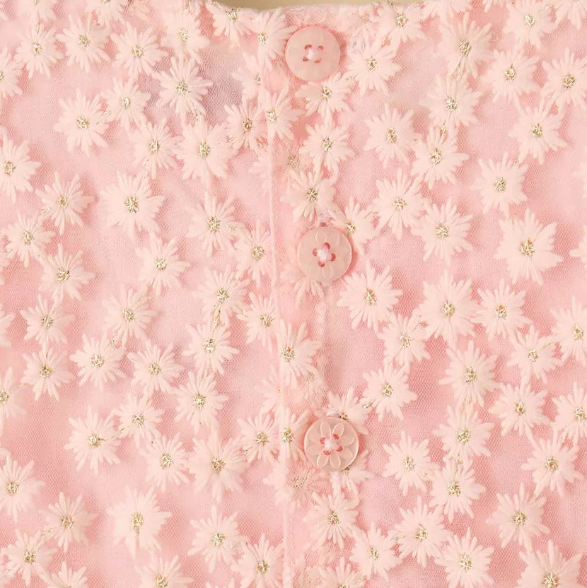 MAX-Floral Embroidered Mesh Dress