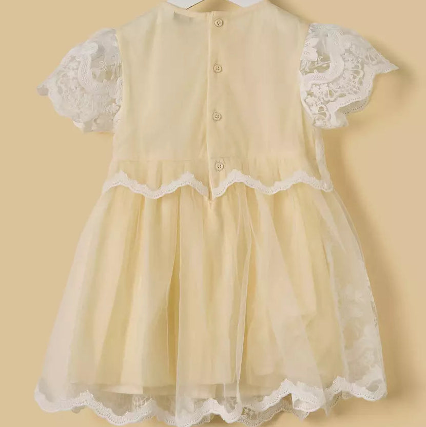 MAX-Mesh Overlay Dress with Bloomers