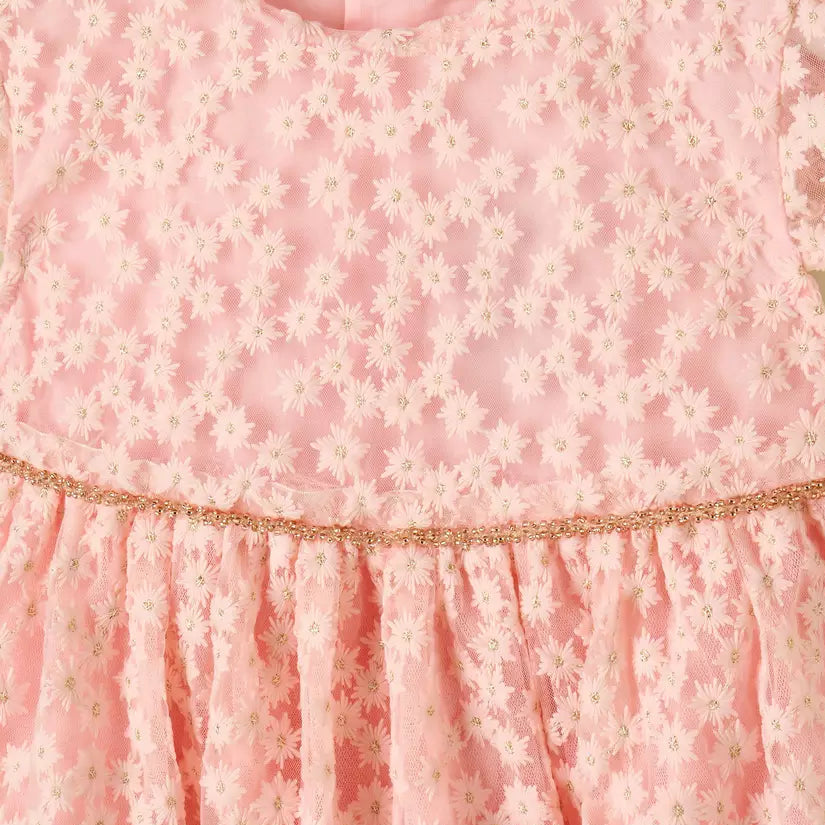 MAX-Floral Embroidered Mesh Dress